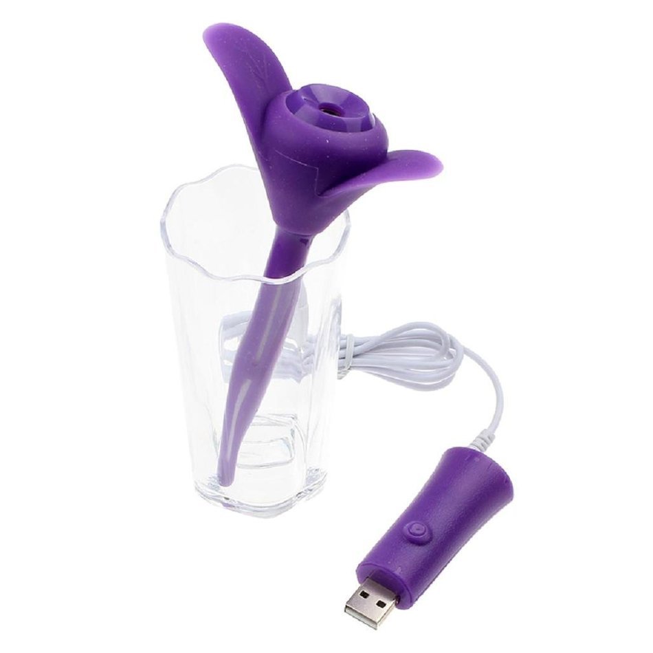 Leewa USB Mini Clover Portable Cool Mist Aroma Humidifier for Office , Home (Pink) N8