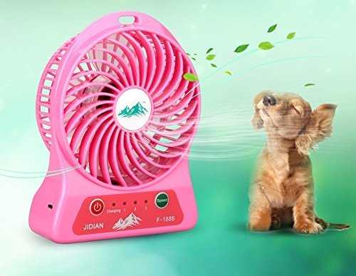 LYWOO Portable Battery Operated Rechargeable USB Fan with 4400mA/h Super Battery Capacity, Up to 12 Hours Continuous... N2