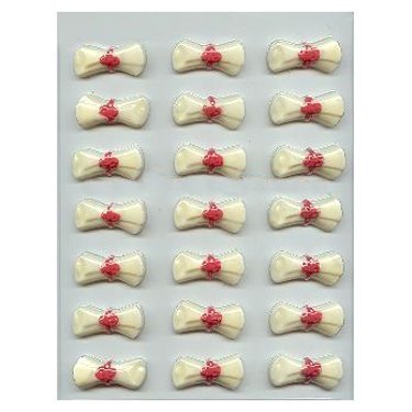 Bite Size Diplomas Candy Mold