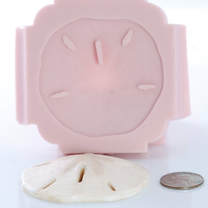 Sand Dollar Silicone Mold Food Safe Fondant, Chocolate, Candy, Resin, Polymer Clay, Soap, Craft, Jewelry Food... N2