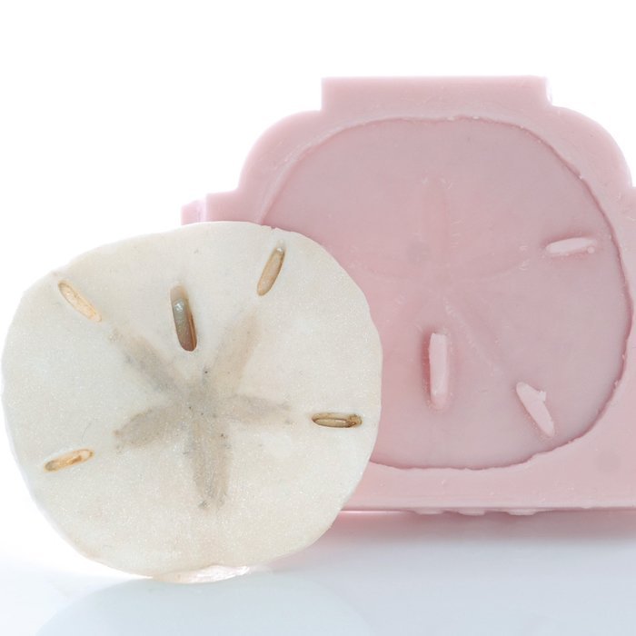 Sand Dollar Silicone Mold Food Safe Fondant, Chocolate, Candy, Resin, Polymer Clay, Soap, Craft, Jewelry Food... N3