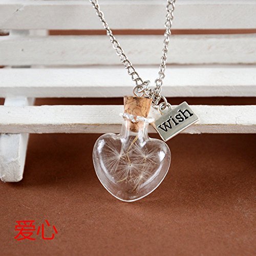 Wish Glass Real Dandelion Seeds In Glass Wish Bottle Chain Necklace Pendant N4