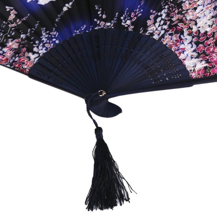 Hollow Rib Flower Hand Fan Folding Fan Pocket Fan (Blue) N24