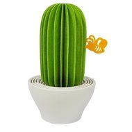 HSI Cactus Non-Electric Personal Humidifier in Green, Piozio N2
