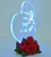Gift Garden Heart Shaped LED Light N3