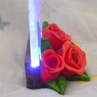 Gift Garden Heart Shaped LED Light N4