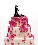 Ecape Acrylic Cake Topper of Engagement and Wedding with Bride and Groom and Their Lovely Cat Pack of 1 N2