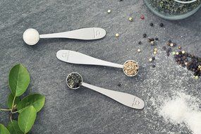 Tea Scoop (Set of 3) - Premium Stainless Steel Measuring Spoons for Loose Leaf Tea, Coffee and More (1.5 tsp) N2