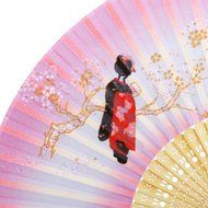Hollow Rib Flower Hand Fan Folding Fan Pocket Fan (Blue) N35