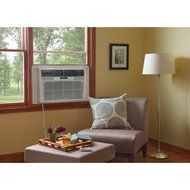 Frigidaire FRA256SV2 25,000 BTU Window-Mounted Heavy-Duty Air Conditioner with Temperature Sensing Remote (230... N3
