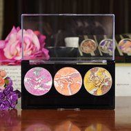 Spritech(TM) Professional Waterproof Colorfull Eye Shadow Palette Mineral Eye Shadow Eye Makeup Combination Pallet N5