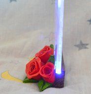 Gift Garden Heart Shaped LED Light N6