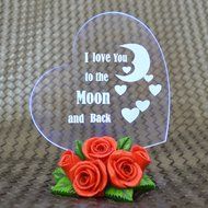 Gift Garden Heart Shaped LED Light N11