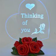 Gift Garden Heart Shaped LED Light N12