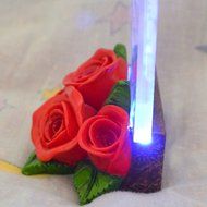 Gift Garden Heart Shaped LED Light N13