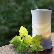 100ML LED Color Changing Ultrasonic Aroma Diffuser Humidifier N4