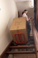 2-in-1 Six Wheeled Hand Trolley &amp; Cart Sack Truck Car Boot Garage Shed - Carry Up to 150KG. by Clifford James N4