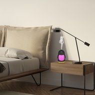 Accmor Penguin 150ml Ultrasonic Cool Mist Humidifier, Mini Portable Virtually Silent Diffuser with Night Light... N7