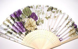 Traditional Chinese Folding Fan: White Silk Floral Pattern