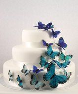 Weddingstar Beautiful Butterfly Cake Sets, Something Blue
