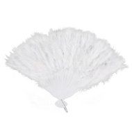 Beauty Clubs Wedding Hand Fancy Dress Costume Dance Feather Fan (Black) N3