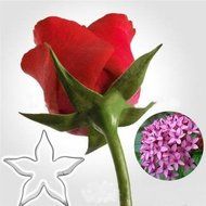 UR Bakeware 3 Set 11Pcs Rose Cookie Cutter Stainless Steel Cake Mold Petal Calyx Leaf Mould N2