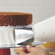 Cake Boss Decorating Tools Cake Icer Tip with Icing Bags
