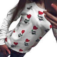 Blouse,Morecome Women Long Sleeve Cute Owl Print T-Shirt Tops Casual Blouse N5