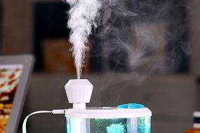 460ML Cool Mist Humidifier Purifier Portable USB air Purifier Mist with 7-Color Breathing Night Light Fish Tank... N2