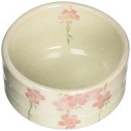 [Matcha Bowl] Mino-yaki Toshiyama Shidarezakura Matcha Chawan [Japan Import]