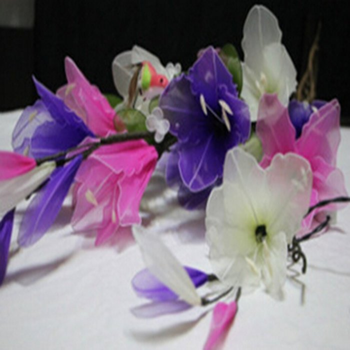 KAKA(TM) Amaryllis Flowers Led String Lights with Plug-in Light Decorate Vase Lantern Warm White Light 220V N5