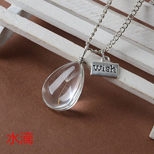 Wish Glass Real Dandelion Seeds In Glass Wish Bottle Chain Necklace Pendant N5