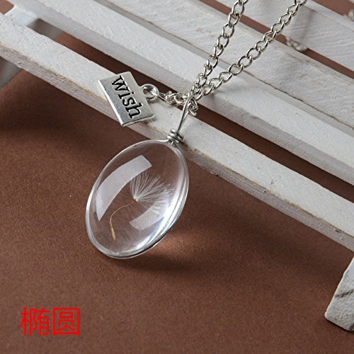 Wish Glass Real Dandelion Seeds In Glass Wish Bottle Chain Necklace Pendant N6