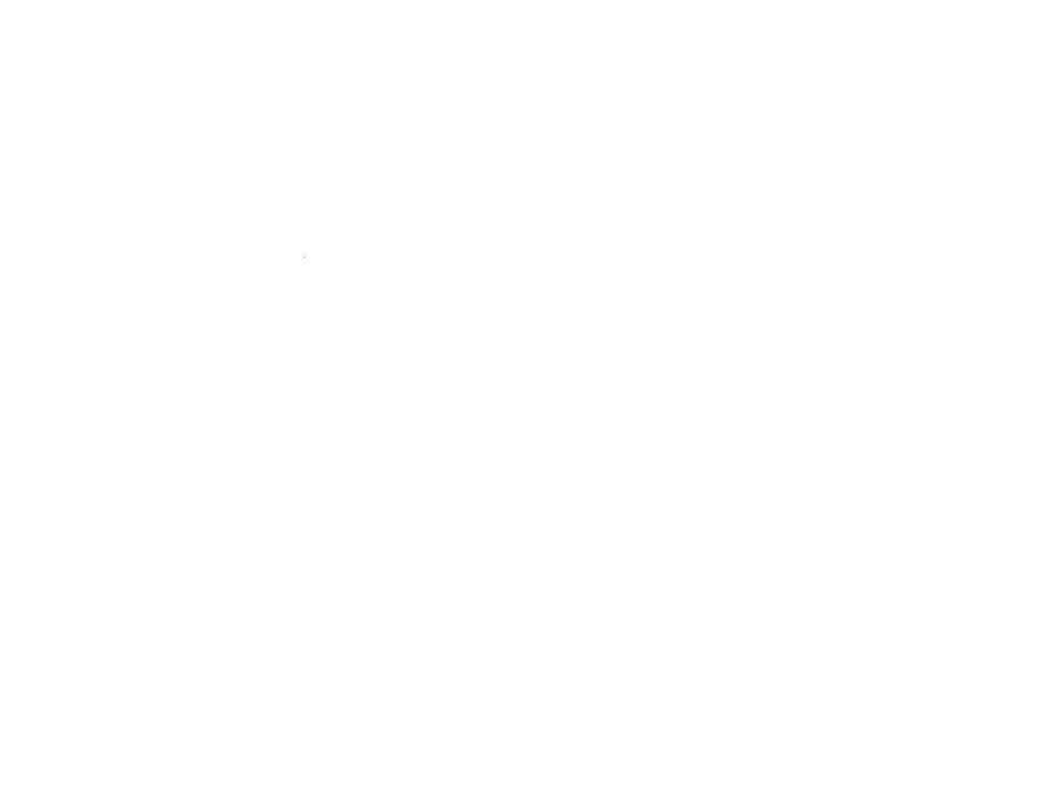 Prime Products (60852) 2-Speed Fan, Chrome