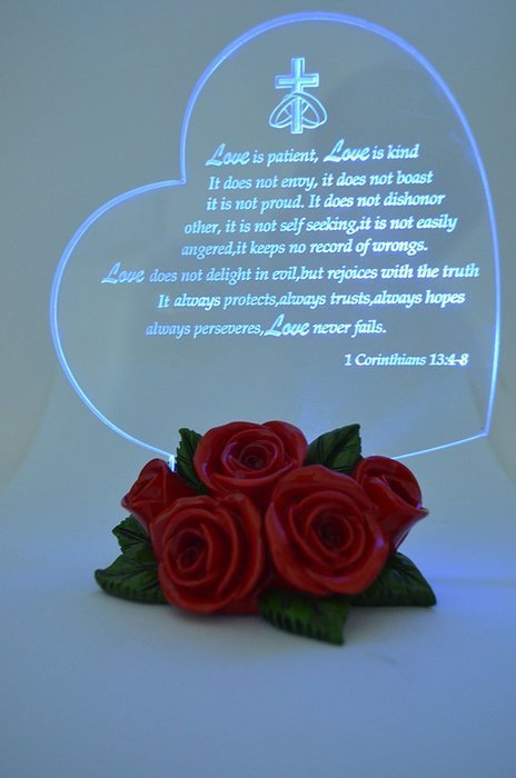 Gift Garden Heart Shaped LED Light N9