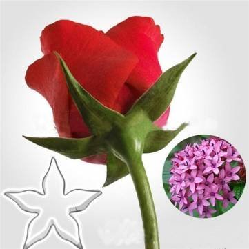 UR Bakeware 3 Set 11Pcs Rose Cookie Cutter Stainless Steel Cake Mold Petal Calyx Leaf Mould N2