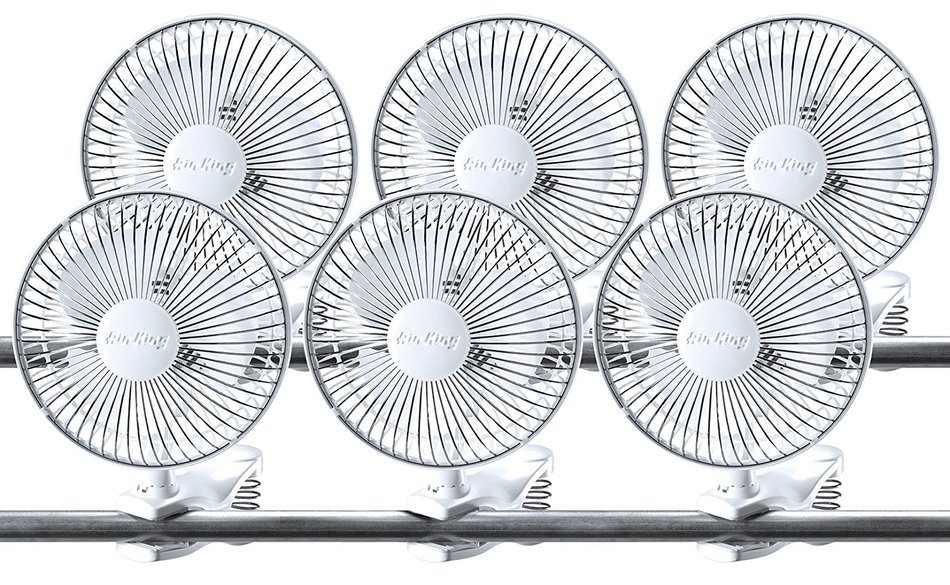 Air King 9146-6 2 Speed Electric Personal Fan (Case of 6), 6" N2