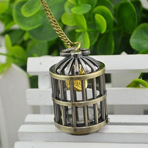 Vintage Steampunk Retro Bronze Design Pocket Watch Quartz Pendant Necklace (birdcage)