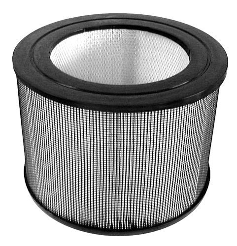 Honeywell 24000 Replacement HEPA Filter N2