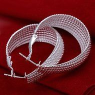 Women Fashion 925 Sterling Silver Plated Hoop Mesh Dangle Earring Studs Jewelry N4