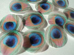 48 round very small 1&quot; Feather Green Edible Decorative Wafer Paper Peacock Feathers &copy; Wedding Cake Cupcake Toppers