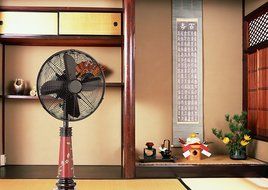 Trans Globe Lighting RTL-8617 Jasmine Decorative Table Fan