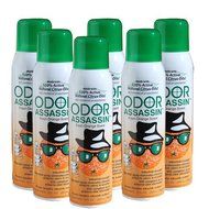 Odor Assassin 12 oz. Air Freshener Fine Mist Spray, Orange - 6 Pack