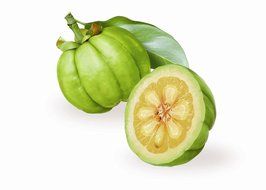 Garcinia Cambogia Tea Bags Diet Weight Loss Slim Pure Organic Herbal 60 Teabags