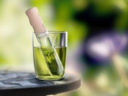 [HKSDV] Tea Lab ELIXIR Glass Tea Infuser