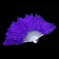 Beauty Clubs Wedding Hand Fancy Dress Costume Dance Feather Fan (Black) N12