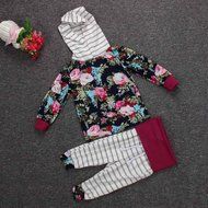 Clothes Set ,BeautyVan Kid Floral Baby Girls Long Sleeve T-shirt+Pants Outfits 2PCS Hooded Clothes Set (80, Purple)