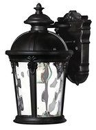 Hinkley 1890BK Outdoor Windsor Light by Hinkley