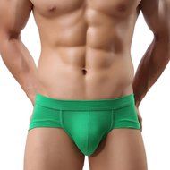 Underswear Laimeng,Trunks Sexy Underwear Men Men's Boxer Briefs Shorts Bulge Pouch soft Underpants (L, Blue) N5