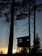 Brewster UMB91028 96-Inch by 72-Inch Lookout Wall Mural by Brewster